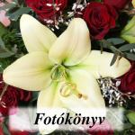 Fotókönyv - Esküvői könyv Fotókönyv - Esküvői könyv