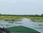 Tiszafüred - Tisza-tavi csónaktúra - Madárrezervátum túra